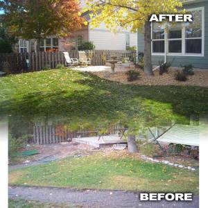 Featured Back Yard with Sod Plants Before and After